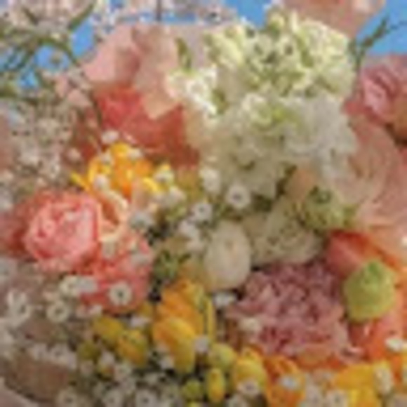 Meet your Posher, Raige - Picture 1 of 1